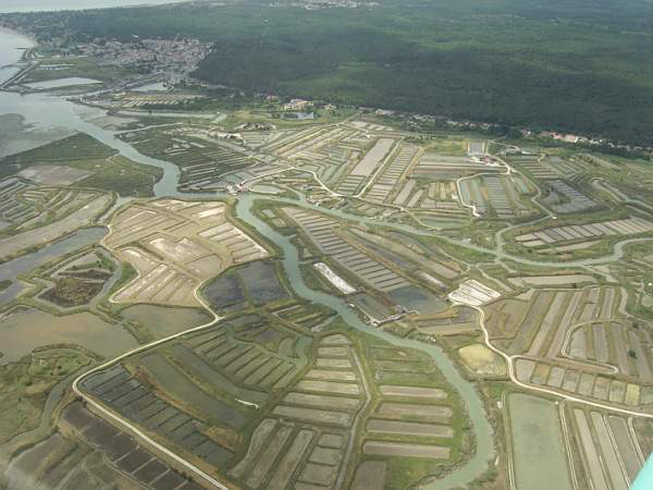 Parc ostreicole, vue du ciel